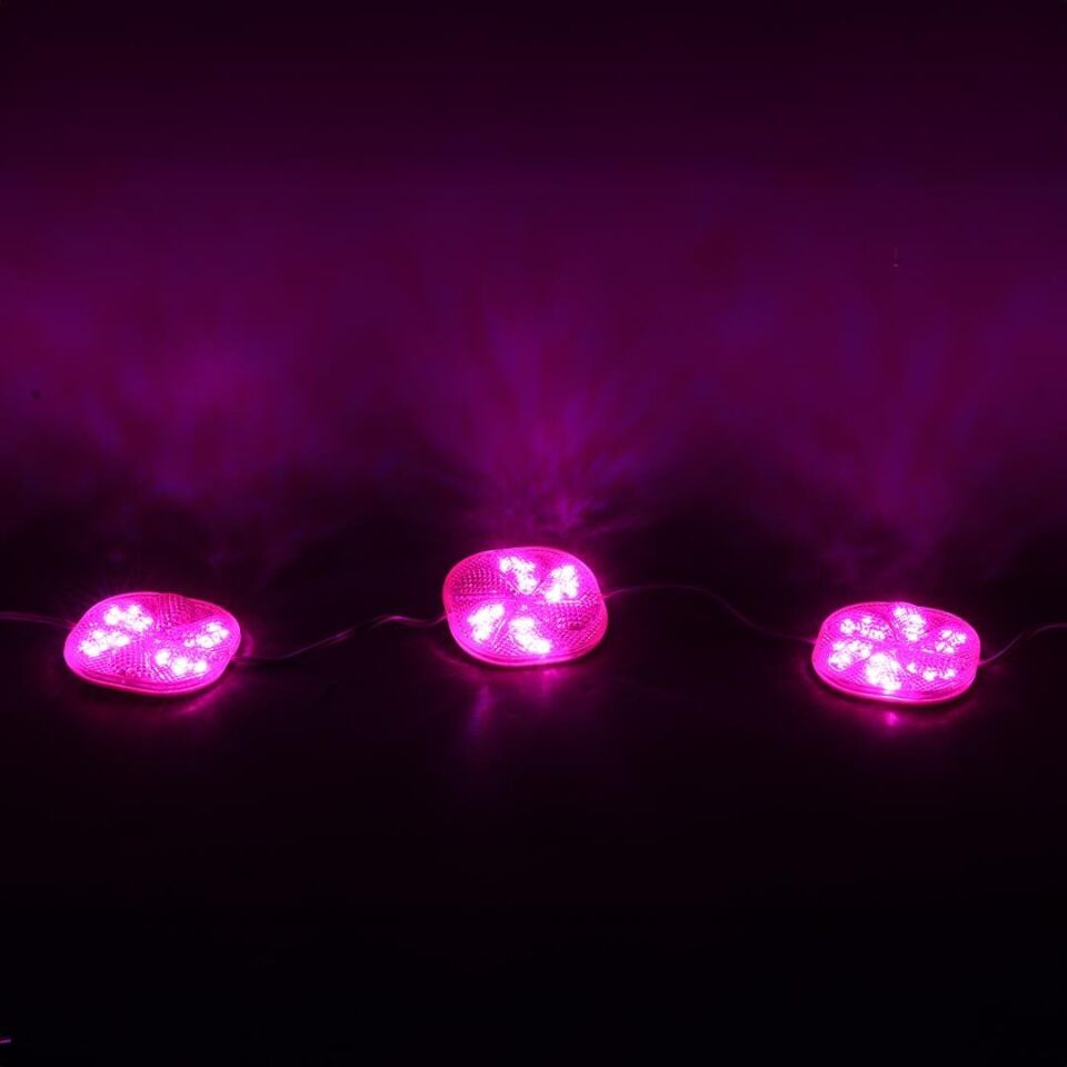 Powermaster 12 Volt 3 Watt Pembe Yanıp Sönen 6565-2835 Modül Led