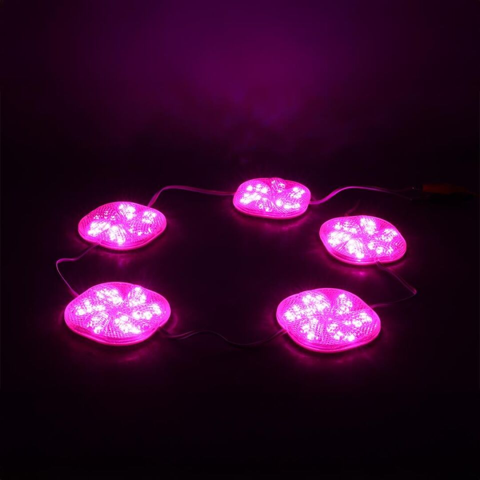 Powermaster PM-14701 12 Volt 3 Watt Pembe Yanıp Sönen Çakar 6565-2835 Modül Led 65X65x12mm