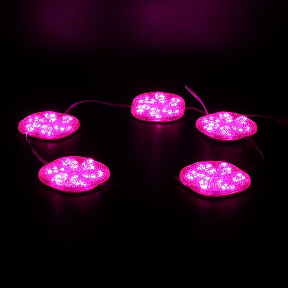 Powermaster PM-14709 12 Volt 3 Watt Pembe Sabit 6565-2835 Modül Led 65X65x12mm