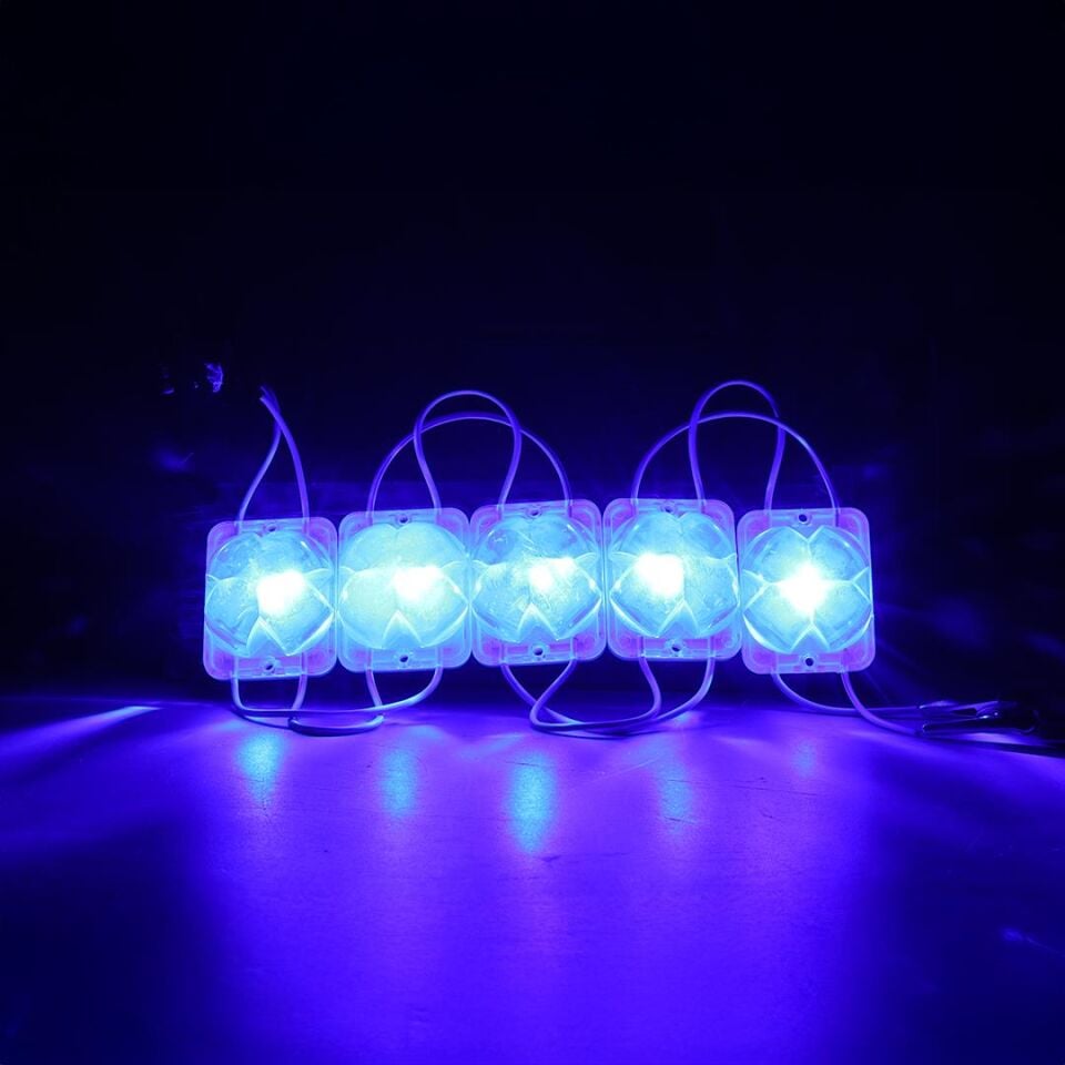 Powermaster PM-14721 12 Volt 2 Watt Mavi Sabit 4333-3030 Modül Led 43X33x28mm