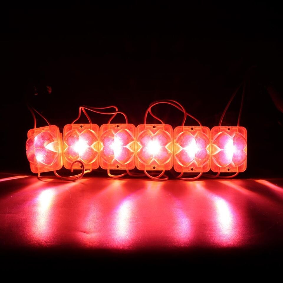 Powermaster 12 Volt 2 Watt Pembe Sabit 4333-3030 Modül Led