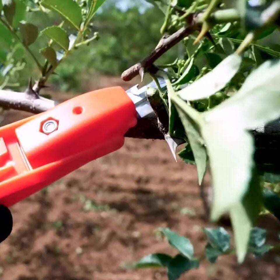 Ayt Sunup Sn-24895 Çok Fonksiyonlu Bahçe Budama Makası Pratik