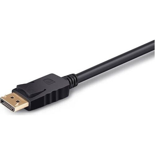 POWERMASTER DISPLAY PORT TO DVI KABLO 1.8 METRE
