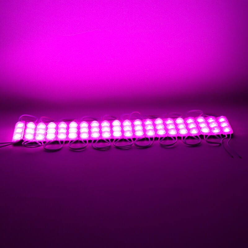 Powermaster 12 Volt 1.5 Watt Pembe Yanıp Sönen Parlak Tek Renk 69 X 16 Mm IP65 Lümen 160 Derece Mercekli Modül Led