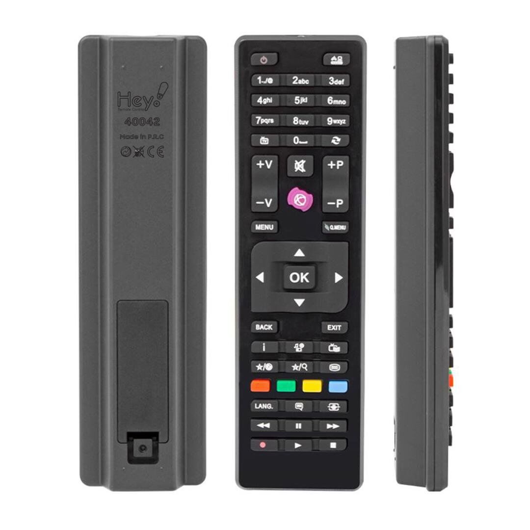 Ayt Vestel SEG Regal RC4875 Mini Universal LCD LED TV Kumandası Uzaktan Kumanda