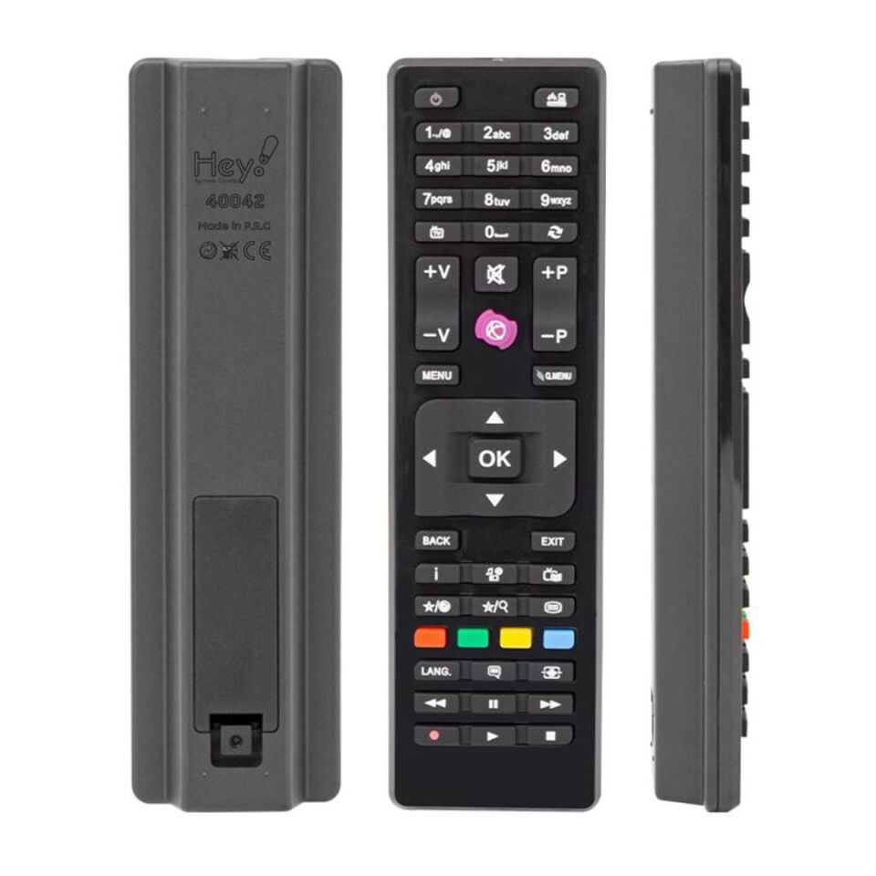 Ayt Vestel SEG Regal RC4875 Mini Universal LCD LED TV Kumandası Uzaktan Kumanda