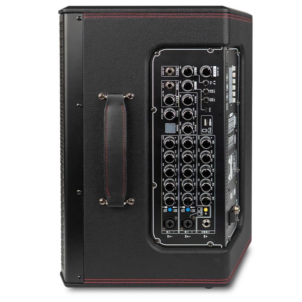 Shile SL-8 El Mikrofonlu USB SD Ve Bluetooth Taşınabilir Hoparlör Ses Sistemi Sahne Kolonu