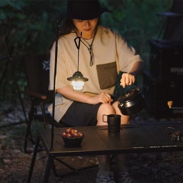 Ayt Powermaster PM-25439 Nostaljik 3 Filament 6 Smd Kamp Çadır Lambası Ampul Led Aydınlatma 1200 mAh Type-c