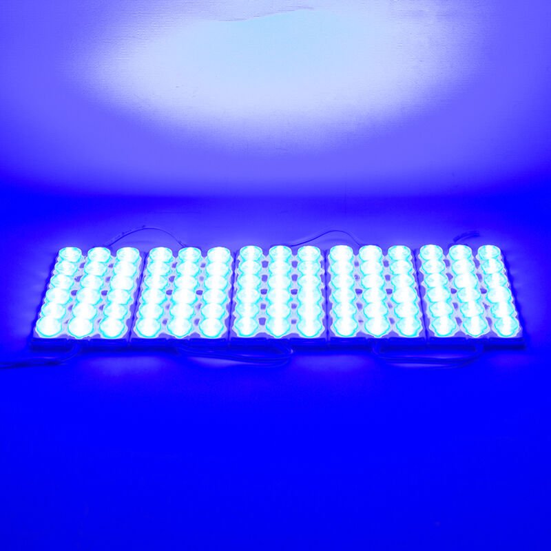 Ayt Powermaster 12 Volt 6 Watt Mavi Modül Led