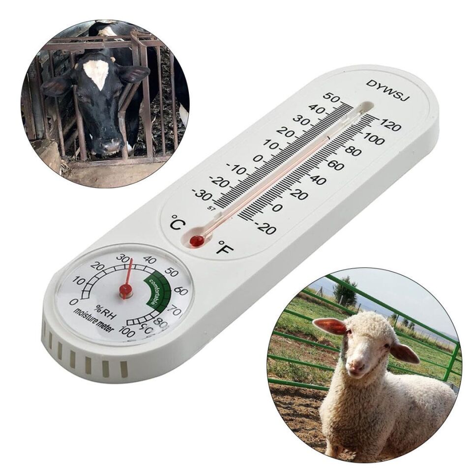 Ayt Powermaster Pm-24665 Sıcaklık Nem Ölçer Analog Termometre -20 +50 Derece Arası Ölçüm Ev Duvar Tipi