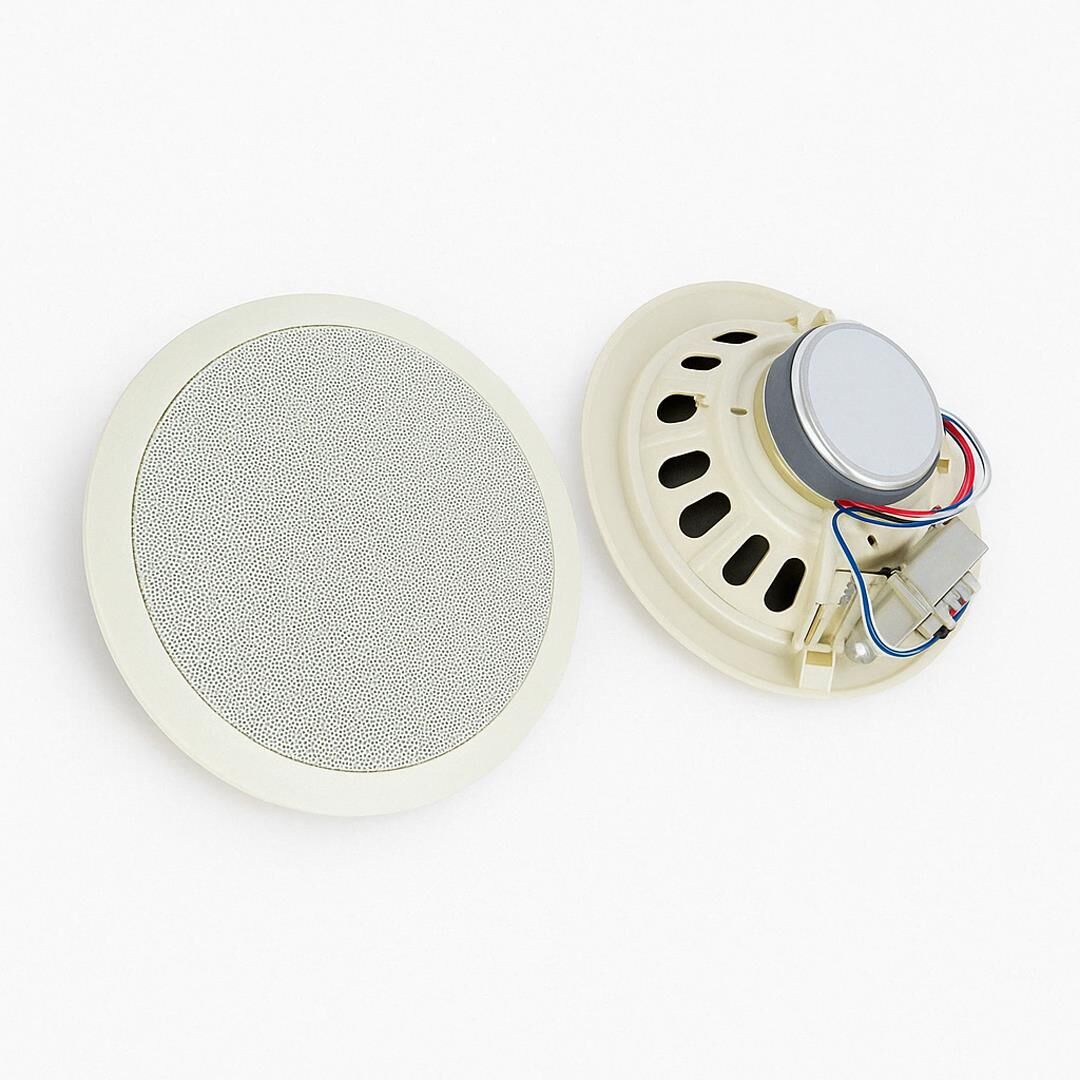 Dexun D-20T 100 Volt 20 CM Trafolu Alçıpan Hoparlör