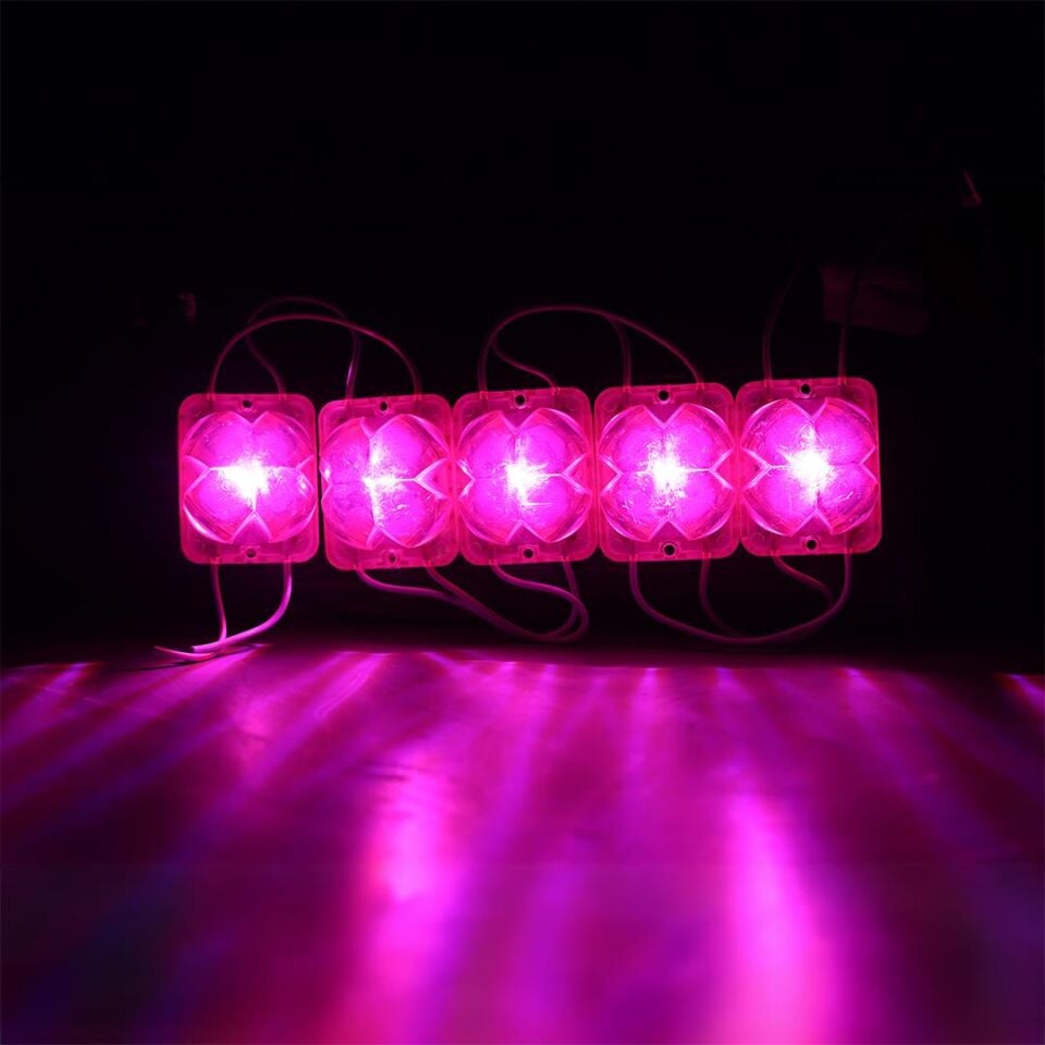 Powermaster PM-14716 12 Volt 2 Watt Pembe Yanıp Sönen Çakar 4333-3030 Modül Led 43X33x28mm